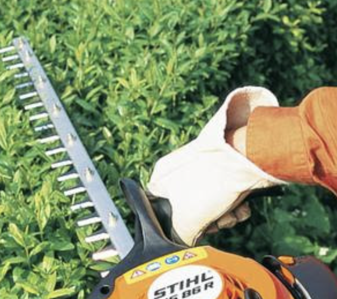 Élagage Saint-Lambert chantier